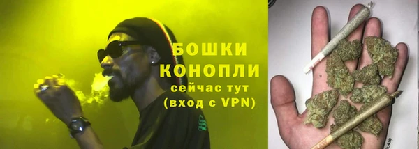 ПСИЛОЦИБИНОВЫЕ ГРИБЫ Киренск