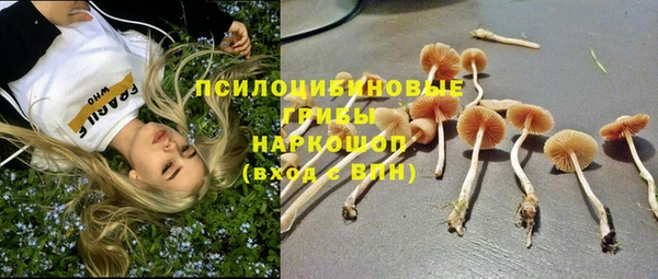 меф Корсаков