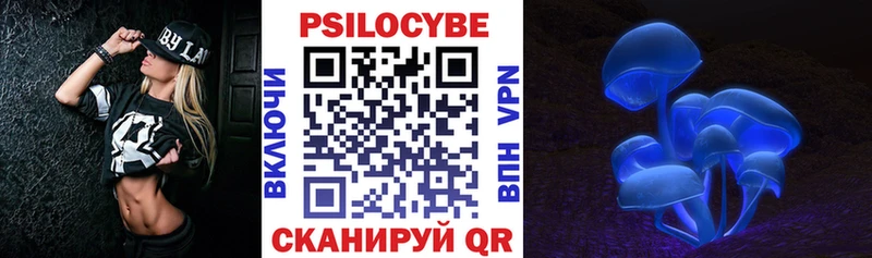 купить закладку  Бердск  hydra ссылки  Галлюциногенные грибы Magic Shrooms 